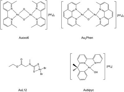 Reactions of Medicinal Gold(III) Compounds With Proteins and Peptides Explored by Electrospray Ionization Mass Spectrometry and Complementary Biophysical Methods